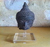 Trophee de sanglier avec plaque gravee