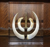 Trophee de sanglier simple