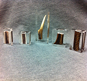 Incluson bois de cerf